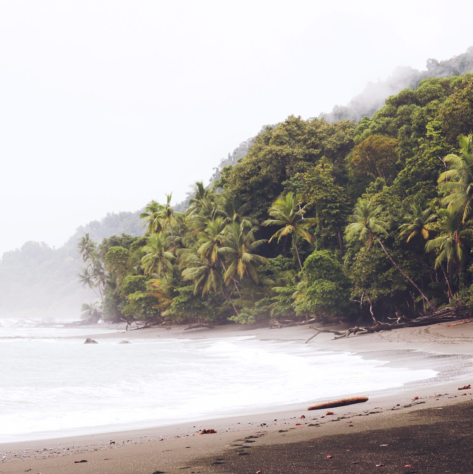 Costa Rica - Jungle meets ocean