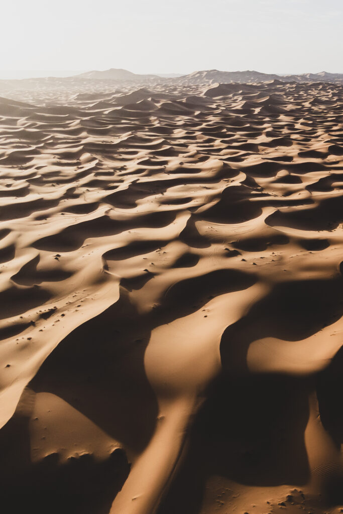 Mezouga desert