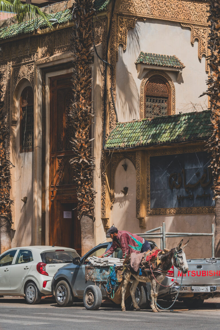 Marrakesh city